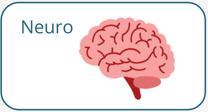 Illustration of a brain, representing 'neuro'